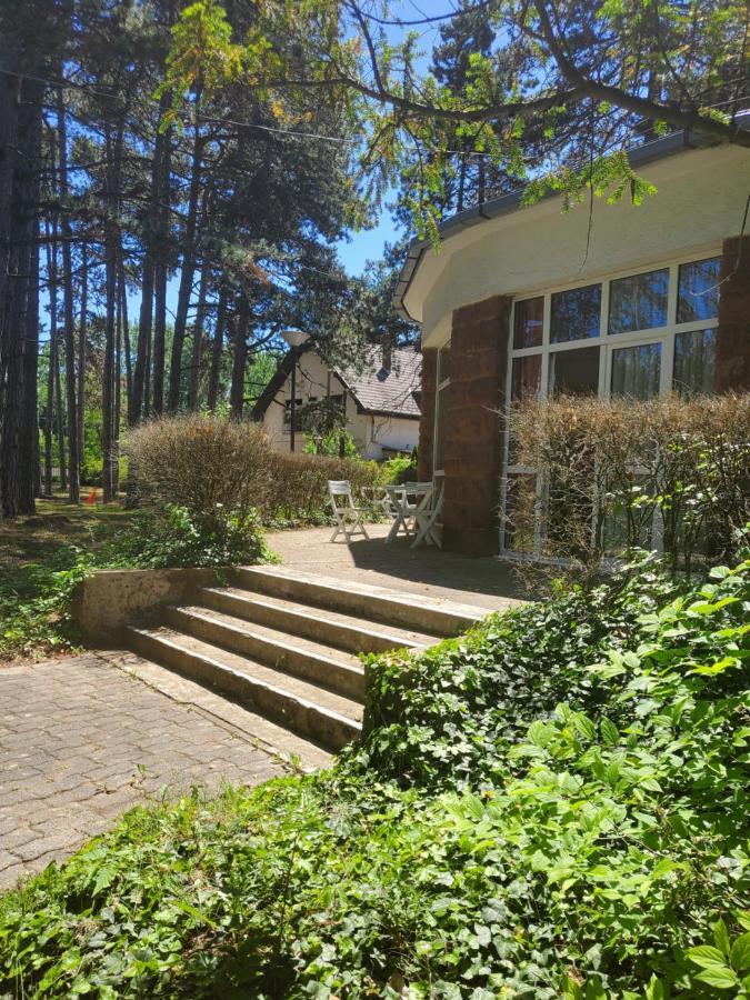 Bed and Breakfast Liget Ueduelo Шиофок Экстерьер фото