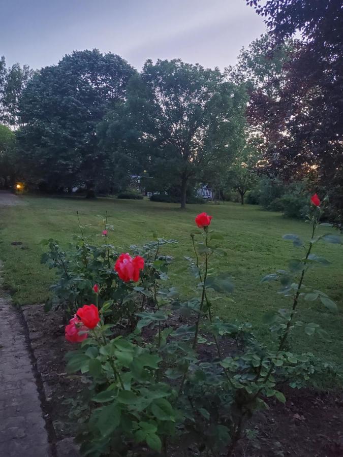 Bed and Breakfast Liget Ueduelo Шиофок Экстерьер фото
